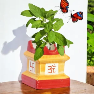 Adya Tulsi Planter for Gardening Red & Yellow