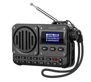 Pagaria Grenade 5 Watts Pocket FM Radio with Bluetooth, Tf Card/USB Speaker – LCD Display with Song Name, Folder Selection, Type C Charging, Voice Recording & More, Black