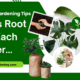 Smart Gardening Tips for Beginners: Grow Green Without the Guesswork