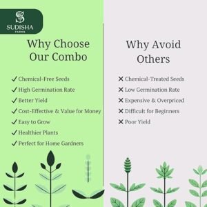 15-in-1 Monsoon Vegetable Seeds Combo Pack | 15 Seasonal Varieties | 500+ Seeds | Ideal for Home Gardening, Balcony & Terrace | Easy to Grow Vegetables