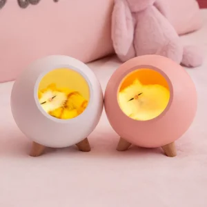 Cute Kitten Decorative Night Light with Type-C Charging, Rechargeable Cat House LED Lamp for Cat Lovers, Home & Bedroom Ambience