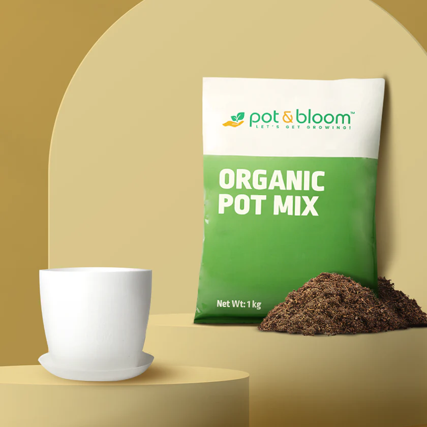48% OFF 1kg Pot Mix +1 Pot and Plate Combo to Grow and Nurture Your Plant | Gardening