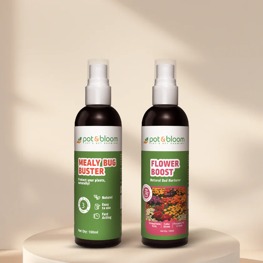 Mealy Bug Buster 100 ml + Flower Boost 100 ml Effective Solution