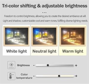 CPENSUS Wood Sunset Led Night Light Painting Decoration Led Wall Art Illuminated Light Up Picture,Light Art Decor,Bedside Lamp For Nightstand,Night Lights For Kids Adults(Sunbathing Dog,22 X 17 Cm)
