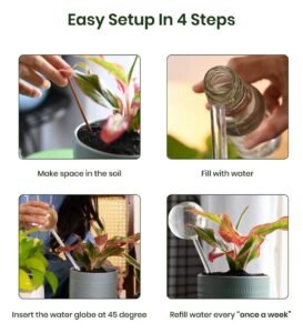 Plant Watering Transparent Glass Globe