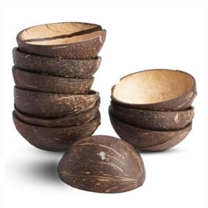 Thenga Natural Oval Coconut Shell Bowls – Set of 10 | 150 ML Eco-Friendly Handmade Bowls for Ice Cream, Snacks, Fruits, Salads, Chutneys & Crafts | Rustic Serving Bowls for Parties & Catering