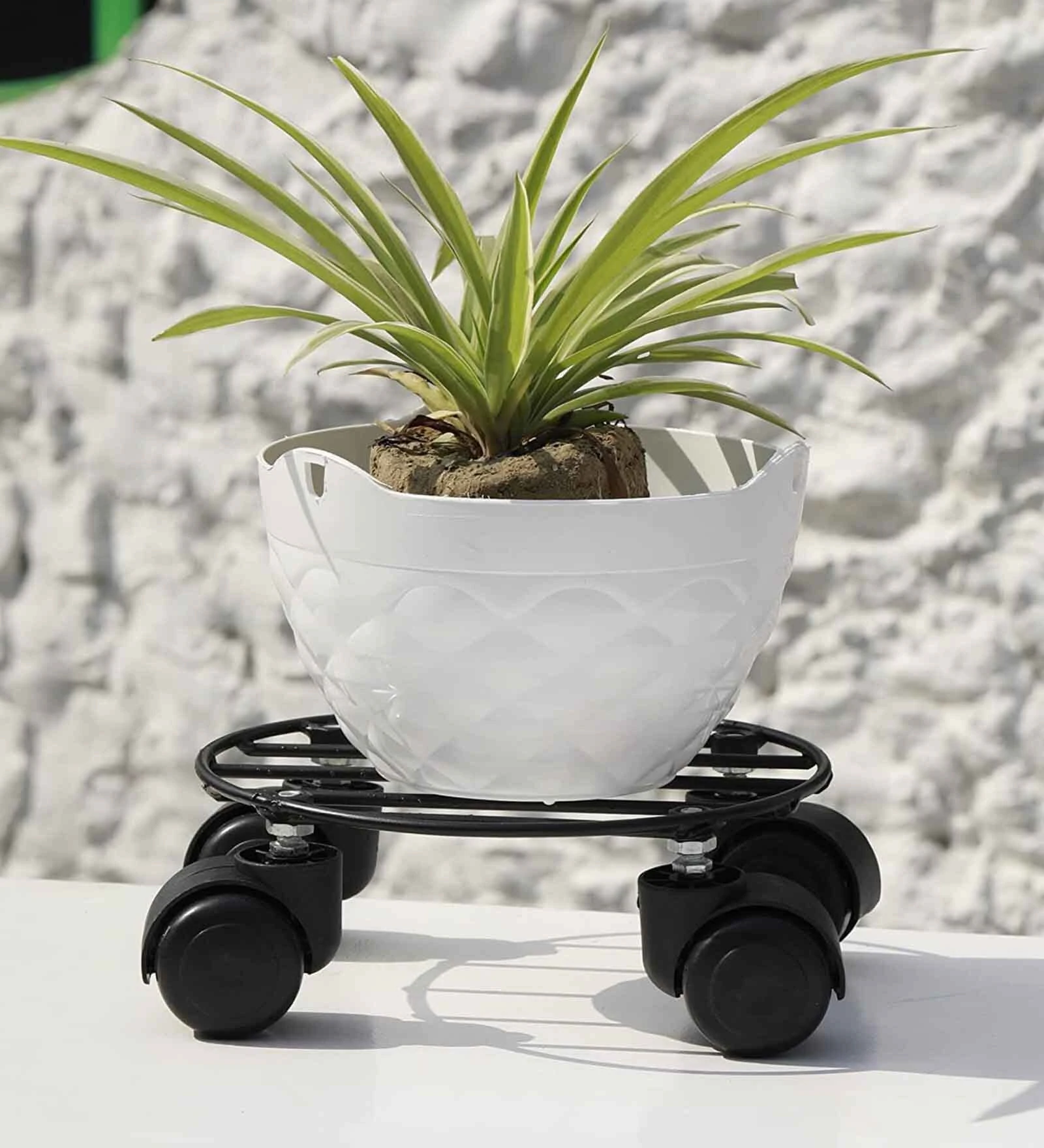 4-Wheel Metal Plant Stand L 20 x W 20 x H 9 (Pack of 1)