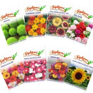 Easy to Grow 8 Summer Flower Seeds Combo| 500+ Seeds| Seeds for Home Garden | Balsam, Kochia, Cosmos, Vinca, Zinnia, Gaillardia, Sunflower, Portulaca