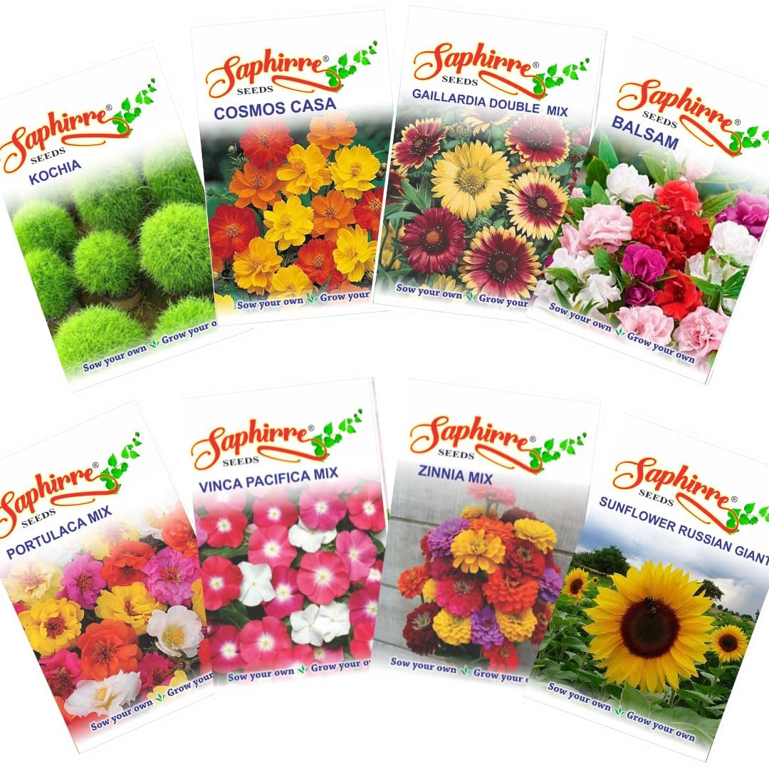 Easy to Grow 8 Summer Flower Seeds Combo| 500+ Seeds| Seeds for Home Garden | Balsam, Kochia, Cosmos, Vinca, Zinnia, Gaillardia, Sunflower, Portulaca